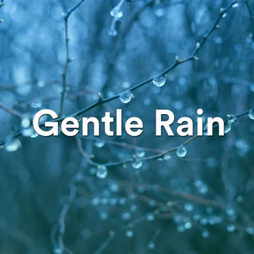 Gentle Rain