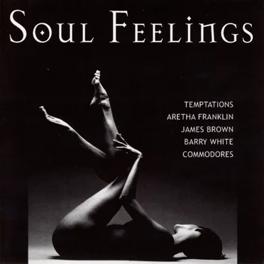 Soul Feelings by Various Artists - album cover