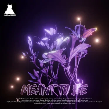 Meant to Be by Aejisei - album cover