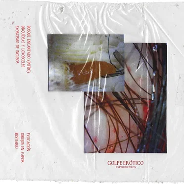 Experimentos by Golpe Erotico - album cover