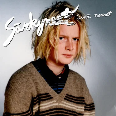 Särkyneet