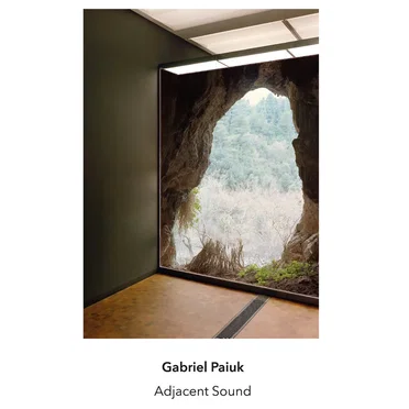 Adjacent Sound by Gabriel Paiuk - album cover