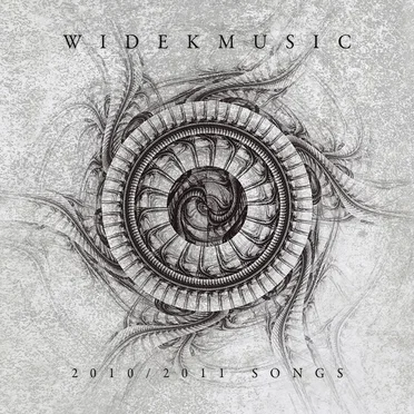 2010/2011 Songs by Widek - album cover