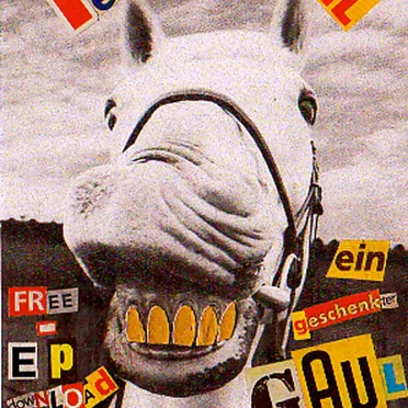 Ein geschenkter Gaul