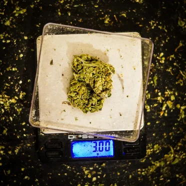 3 g