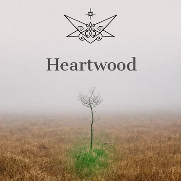 Heartwood by Jesse Fox - album cover