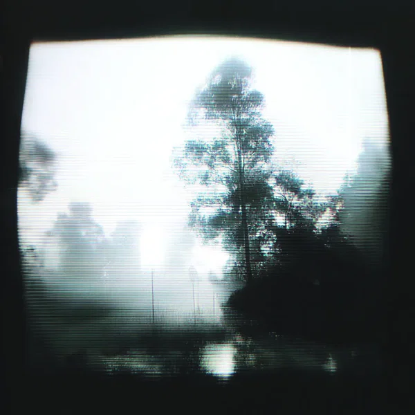 TT