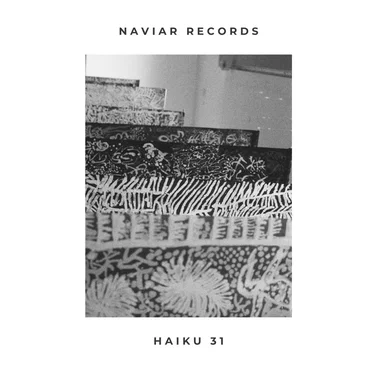 Naviar Haiku 31 by Various Artists - album cover