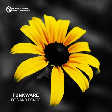 Dos And Dont's by Funkware - album cover