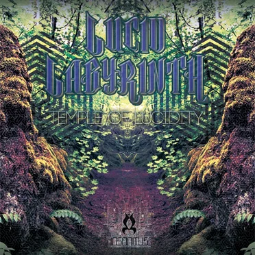 Temple of Lucidity: Lucid Labyrinth by Various Artists - album cover