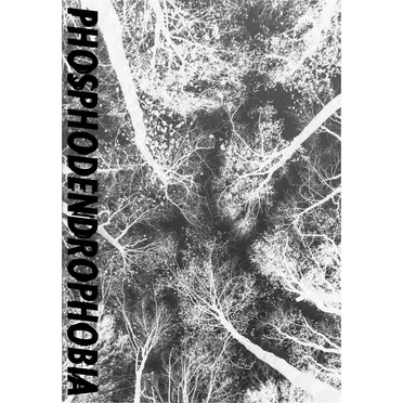 Phosphodendrophobia by Bell Lungs - album cover