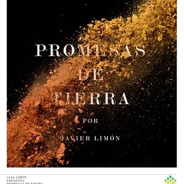 Promesas de tierra