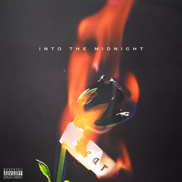 Into The Midnight