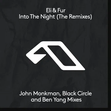 Into the Night (The Remixes)