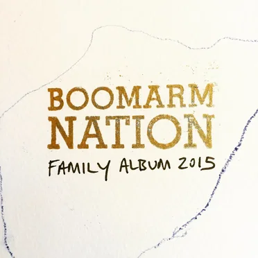 Family Album 2015 by Various Artists - album cover