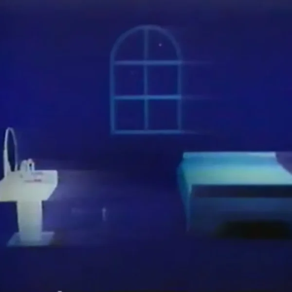 夜間誘導