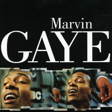 Marvin Gaye Live