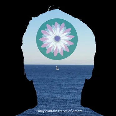 *may contain traces of dream by The Love Explosion - album cover