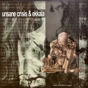 Unsane Crisis / Ekkaia