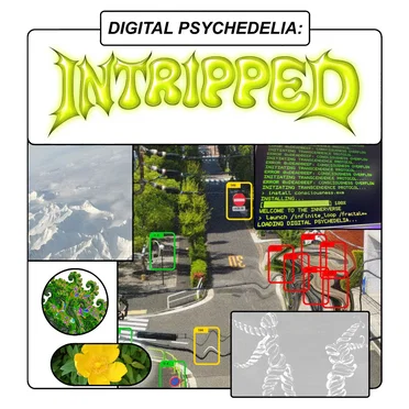 Digital Psychedelia: Intripped by Various Artists - album cover