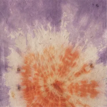 Wailing Bones Volume Fourteen by Various Artists - album cover