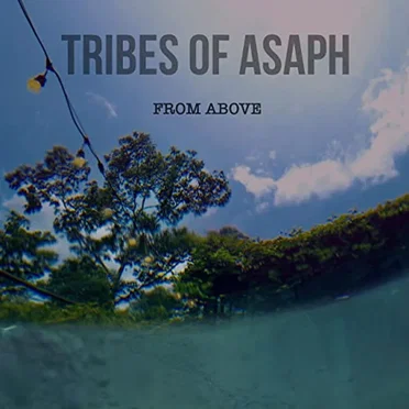 From Above by Tribes of Asaph - album cover