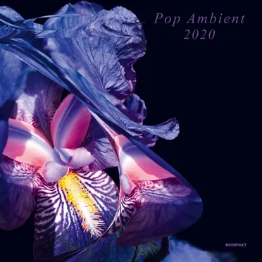 Pop Ambient 2020 by Various Artists - album cover