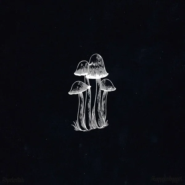 KVELERTAK