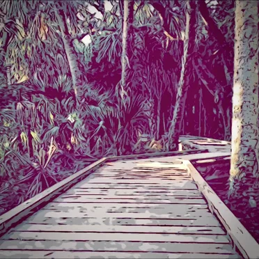 DK's Jungle Parkway