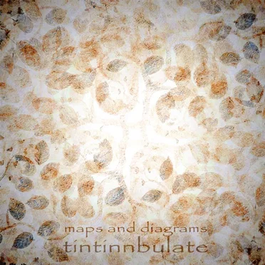 Tintinnbulate by Maps and Diagrams - album cover
