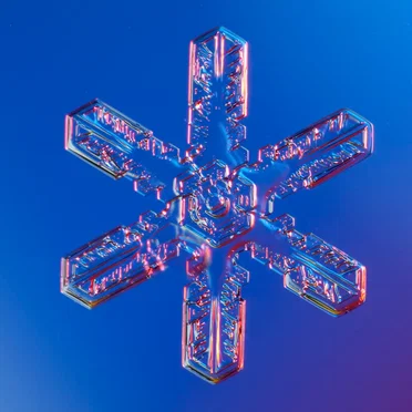F r a g m e n t s