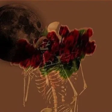 no roses by MAVI - album cover