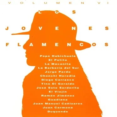 Los Jovenes Flamencos Volumen VI by Various Artists - album cover