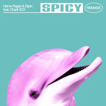 Spicy (remixes)