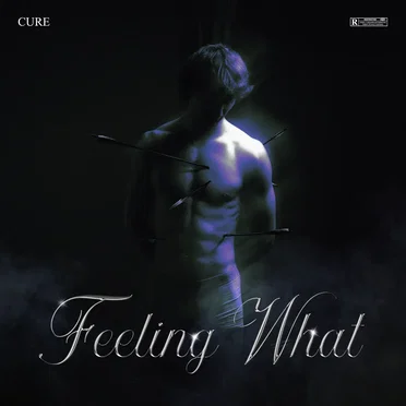 Feeling What