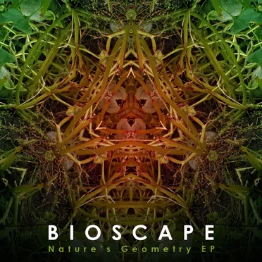 Nature’s Geometry EP by Bioscape - album cover