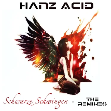 Schwarze Schwingen - The Remixes by Hanz Acid - album cover