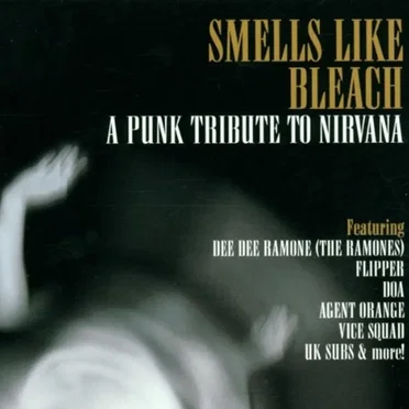 Smells Like Bleach: A Punk Tribute to Nirvana by Various Artists - album cover