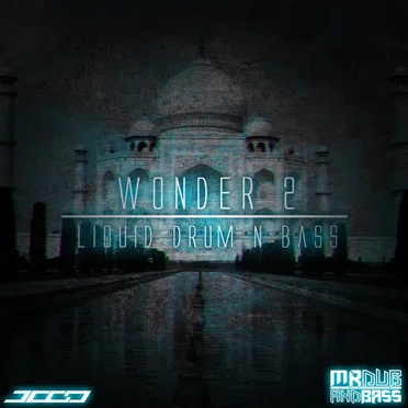 Wonder 2 by Various Artists - album cover