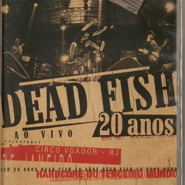 20 anos