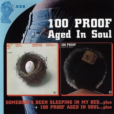 Somebody's Been Sleeping in My Bed...plus / 100 Proof Aged in Soul...plus