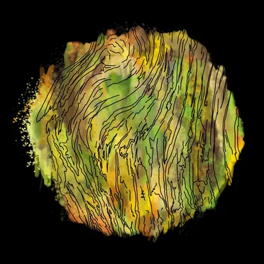 Horrenberg Session (En vivo) by Carambolo - album cover