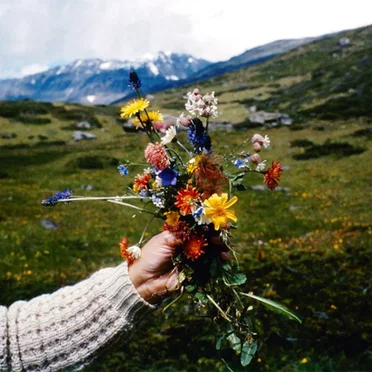 The Cloisters by The Cloisters - album cover