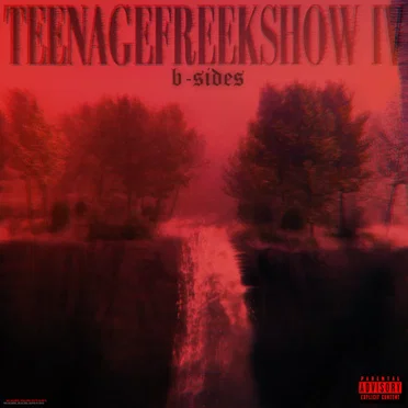 TeenageFreekshow IV: B-Sides
