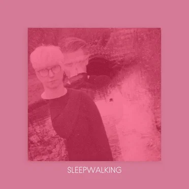 Sleepwalking