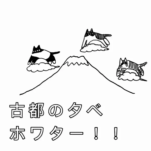 ホワター！！