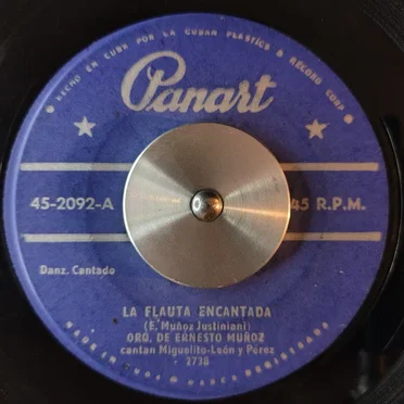 La flauta encantada / El viandero by Orquesta de Ernesto Muñoz - album cover