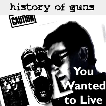 You Wanted to Live by History Of Guns - album cover