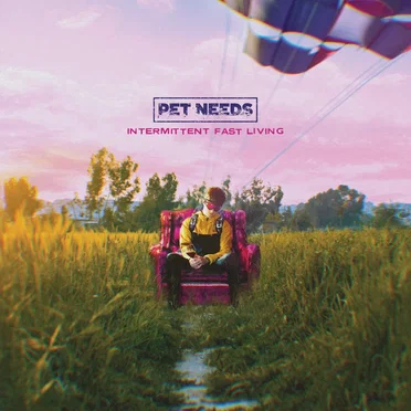 Intermittent Fast Living by PET NEEDS - album cover