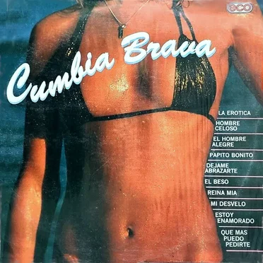 Cumbia brava by Various Artists - album cover